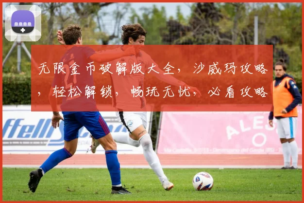 无限金币破解版大全，沙威玛攻略，轻松解锁，畅玩无忧，必看攻略，三步搞定