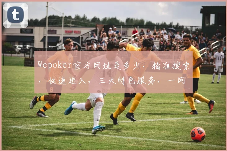 Wepoker官方网址是多少，精准搜索，快速进入，三大特色服务，一网打尽