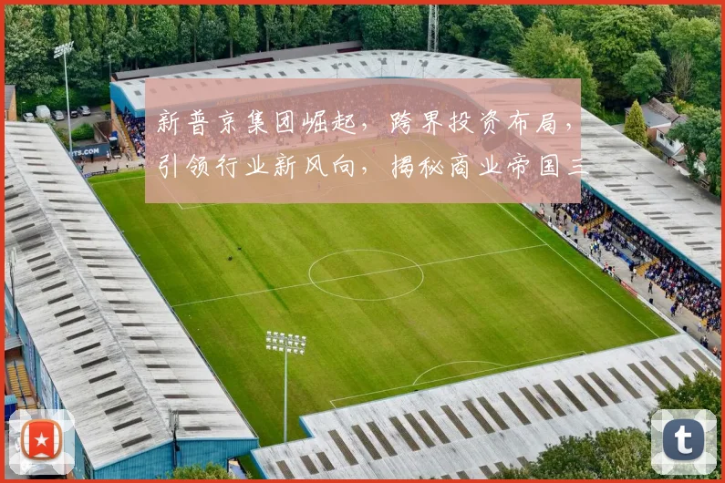 新普京集团崛起，跨界投资布局，引领行业新风向，揭秘商业帝国三重奏